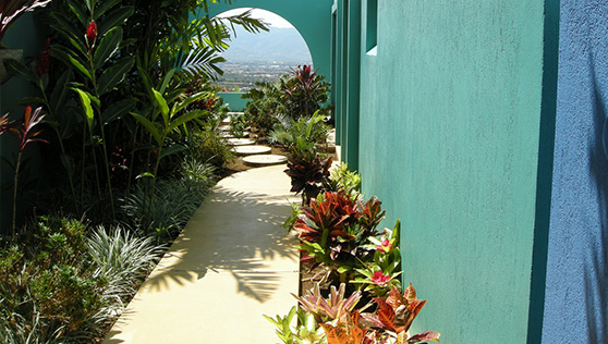 Tropical rainforest resort pathway to cottage rooms